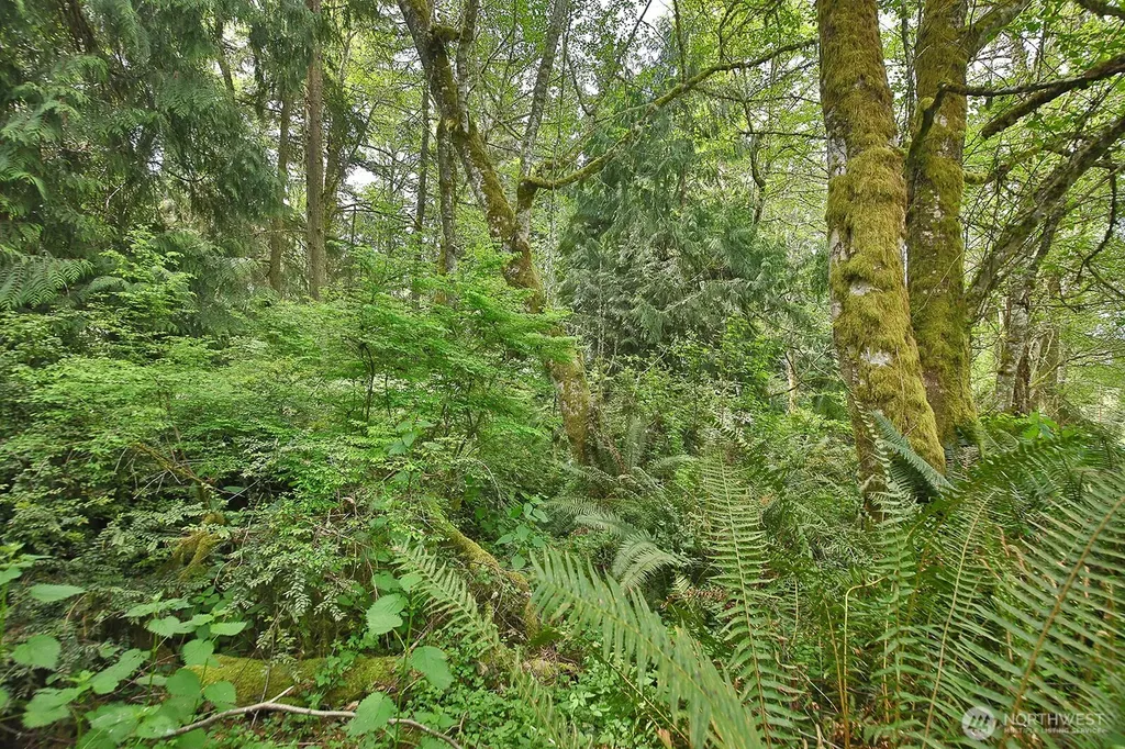 0 Goss Lake Road Langley WA 98260