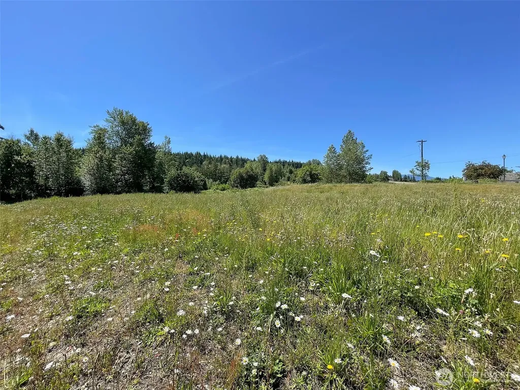 852 Still Road Sequim WA 98382