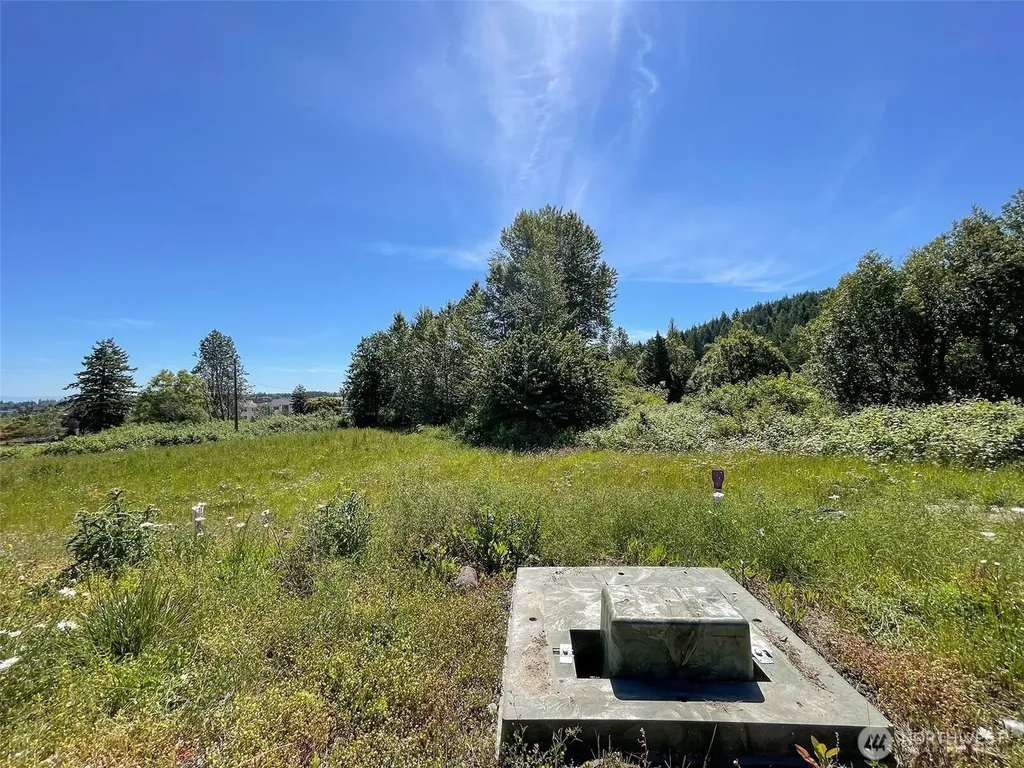 862 Still Road Sequim WA 98382