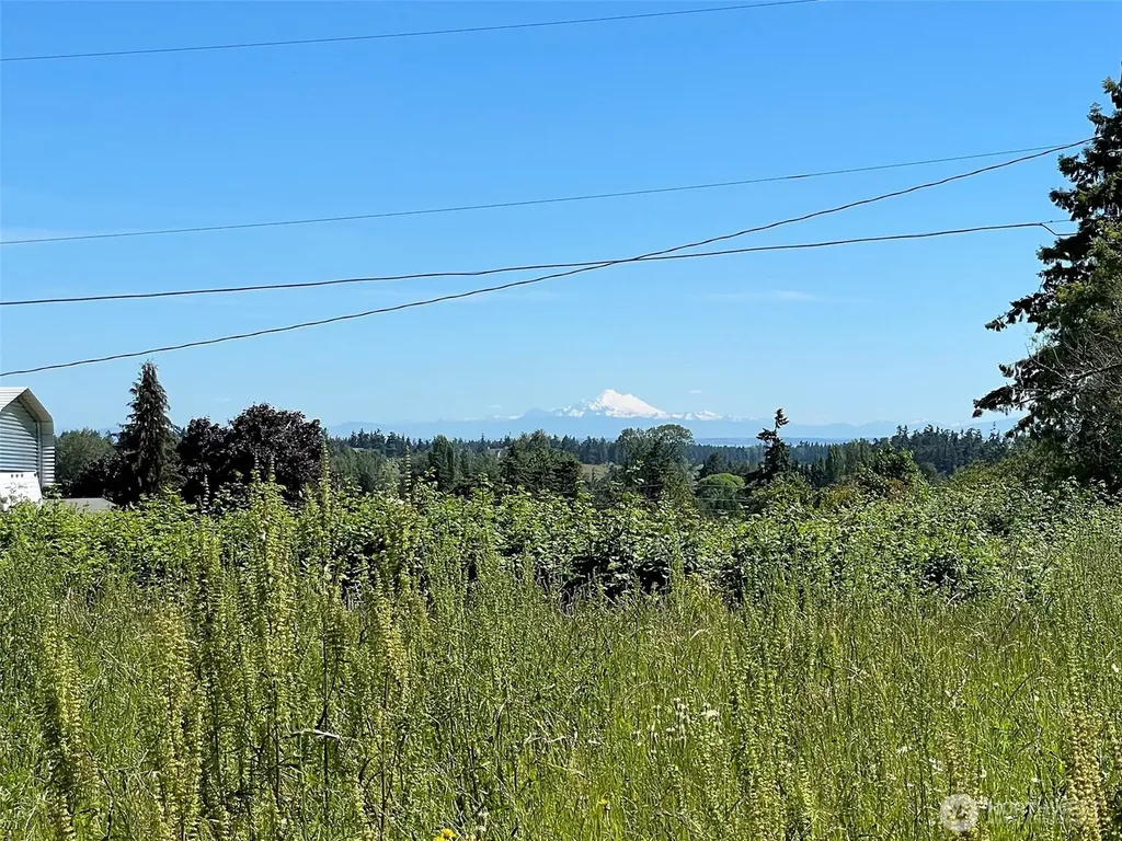 872 Still Road Sequim WA 98382