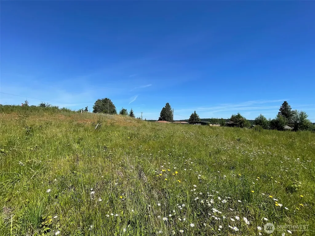 872 Still Road Sequim WA 98382