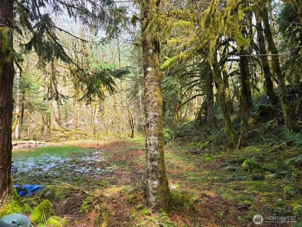 48918 Front Street Granite Falls WA 98252