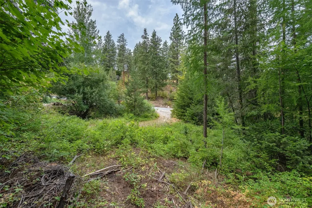 6409 Forest Ridge Drive Wenatchee WA 98801