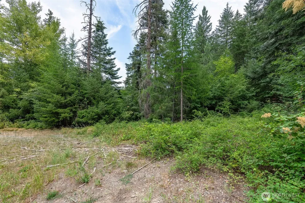 6409 Forest Ridge Drive Wenatchee WA 98801