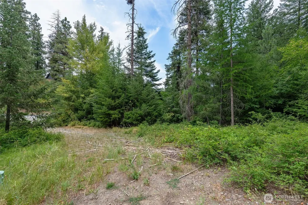6409 Forest Ridge Drive Wenatchee WA 98801