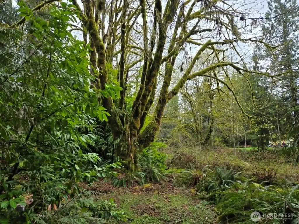 23208 Alder Drive Granite Falls WA 98252