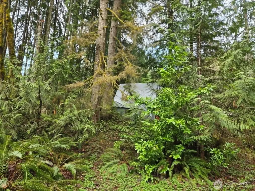 23208 Alder Drive Granite Falls WA 98252
