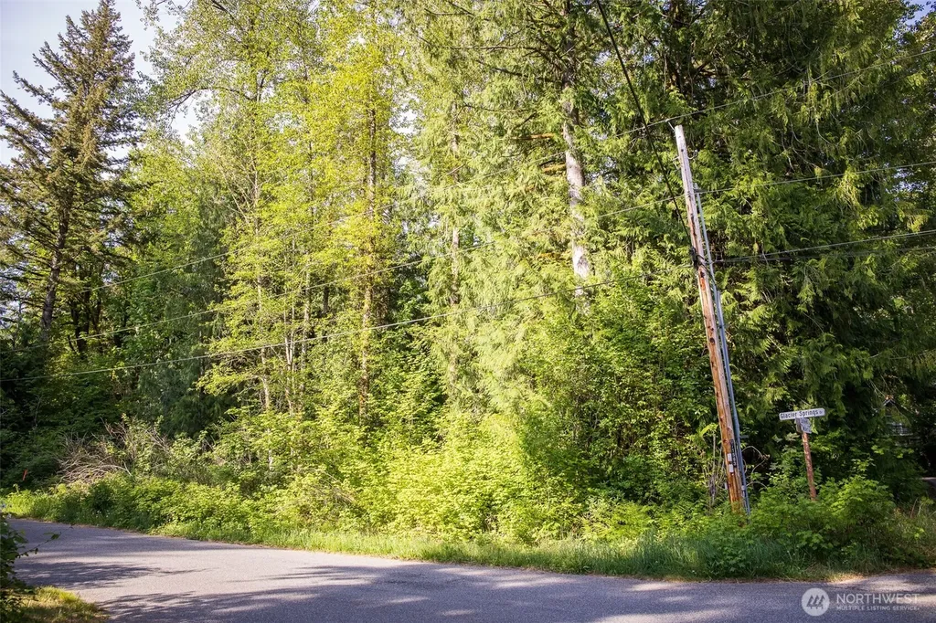 7534 Glacier Springs Drive Deming WA 98244