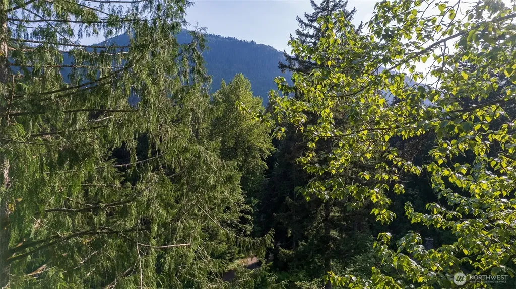 7534 Glacier Springs Drive Deming WA 98244