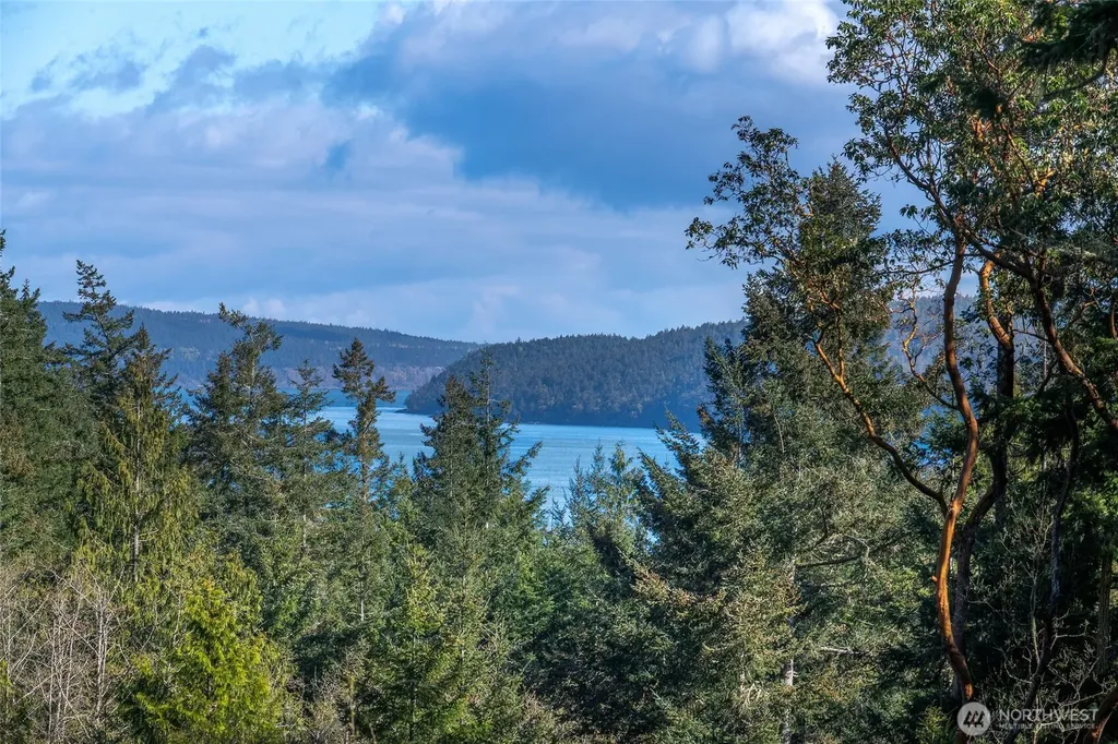 27 Bramblewood Lane Friday Harbor WA 98250