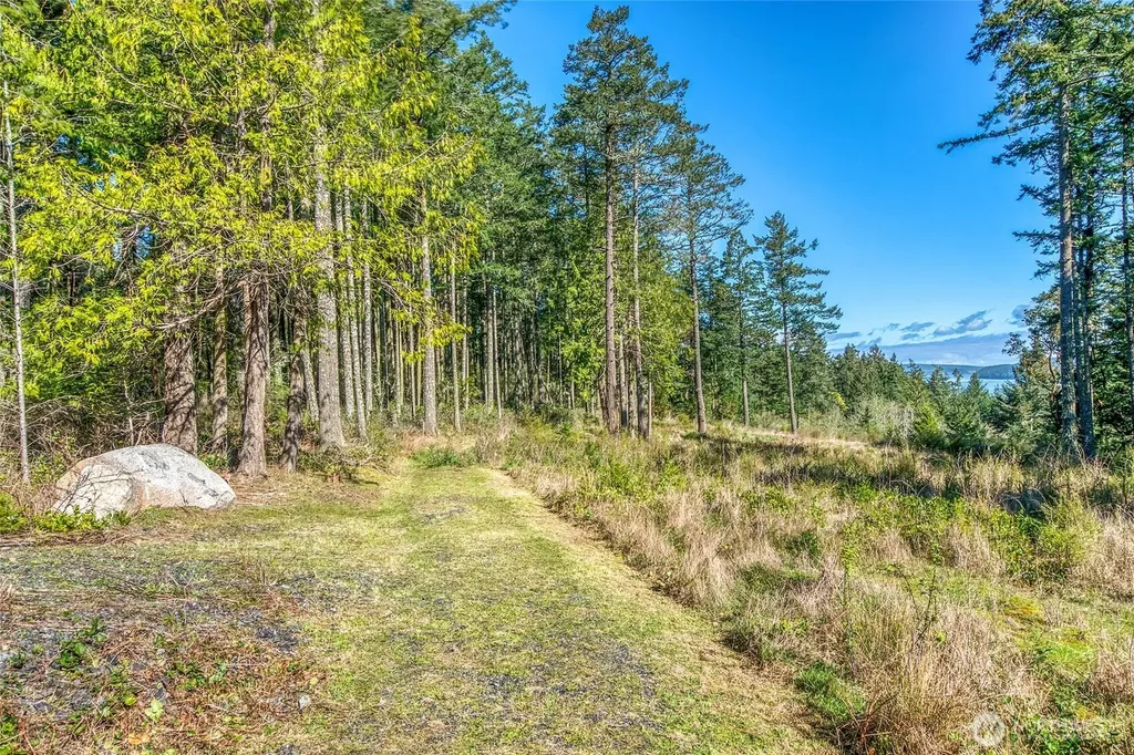 27 Bramblewood Lane Friday Harbor WA 98250