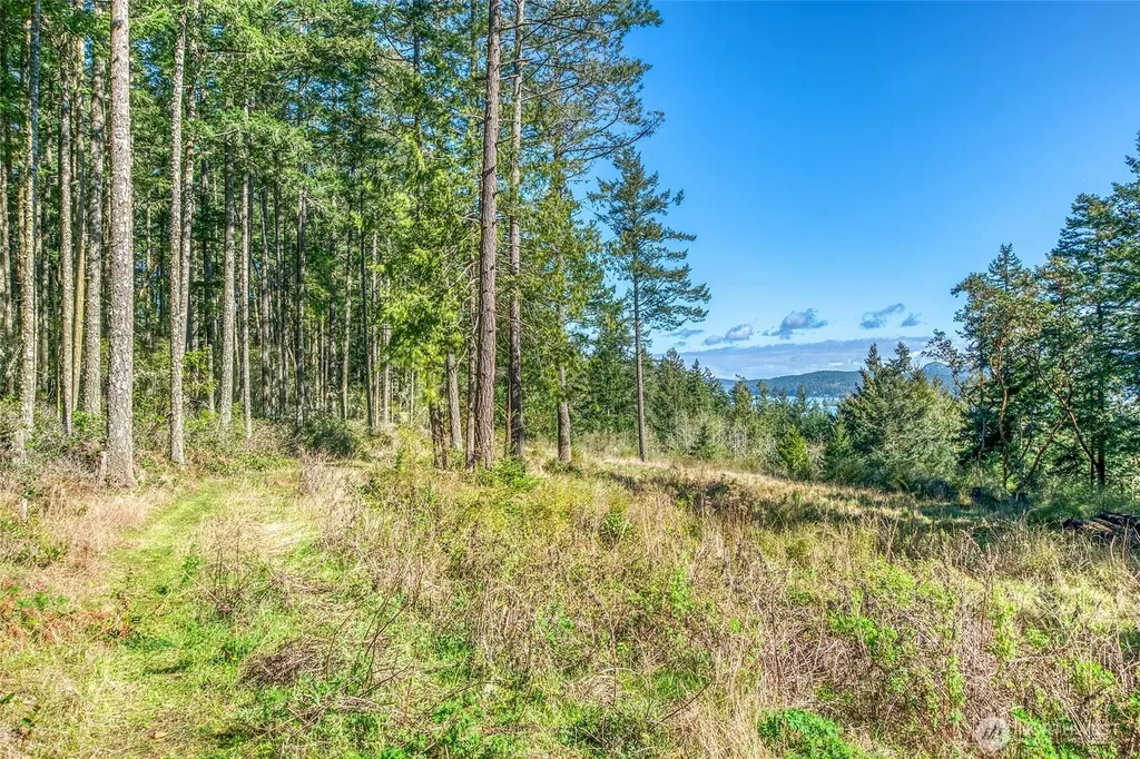 27 Bramblewood Lane Friday Harbor WA 98250