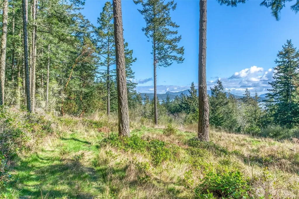27 Bramblewood Lane Friday Harbor WA 98250