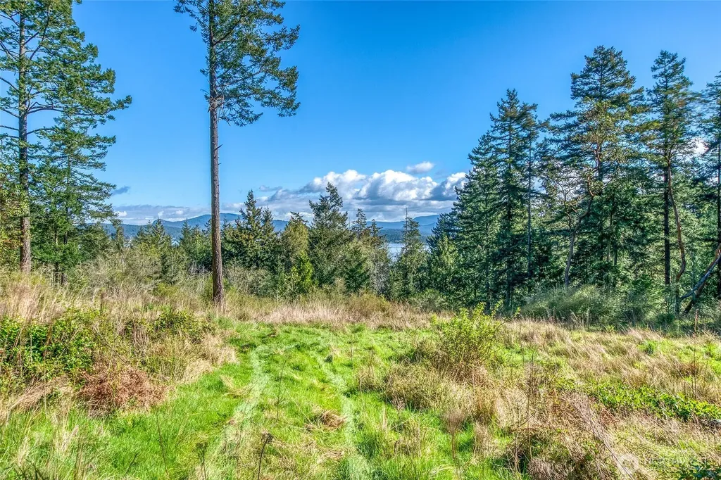 27 Bramblewood Lane Friday Harbor WA 98250