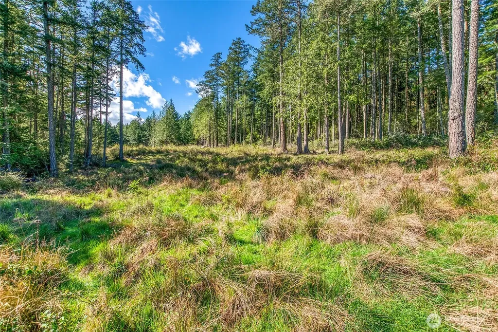 27 Bramblewood Lane Friday Harbor WA 98250