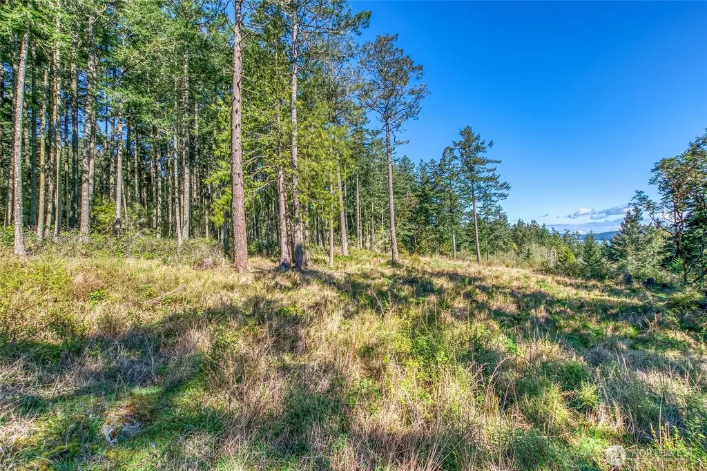 27 Bramblewood Lane Friday Harbor WA 98250
