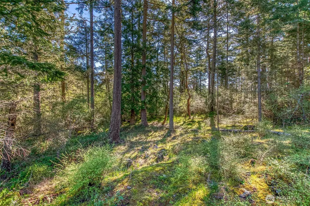 27 Bramblewood Lane Friday Harbor WA 98250