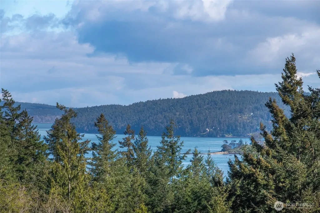 27 Bramblewood Lane Friday Harbor WA 98250