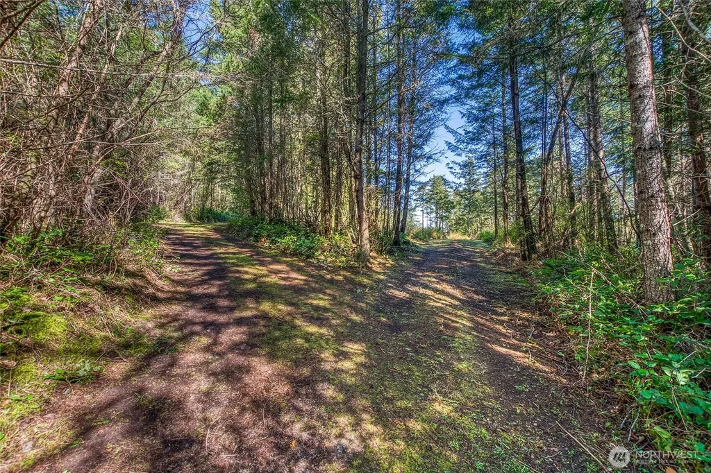 27 Bramblewood Lane Friday Harbor WA 98250