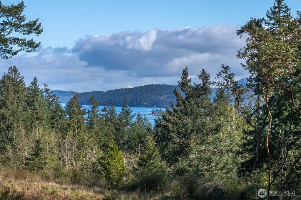 27 Bramblewood Lane Friday Harbor WA 98250