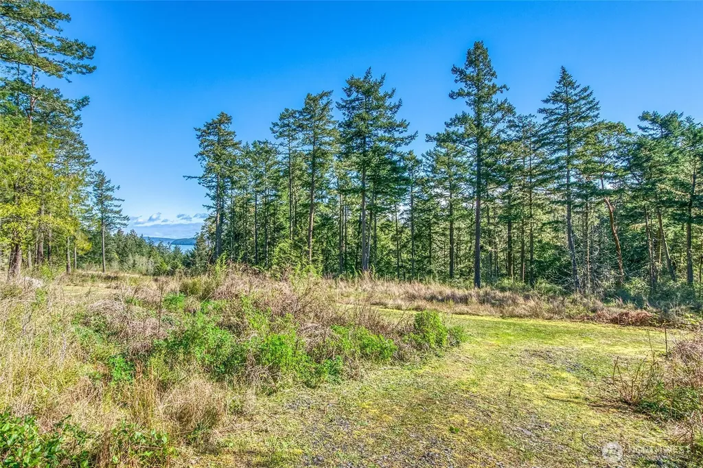 27 Bramblewood Lane Friday Harbor WA 98250