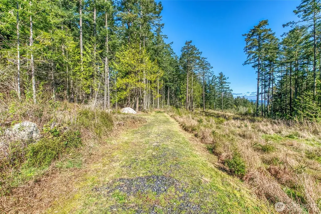 27 Bramblewood Lane Friday Harbor WA 98250