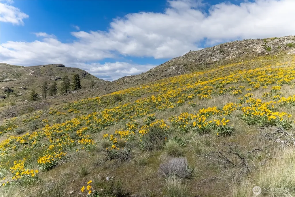 26 Alkali Lake Road Riverside WA 98849