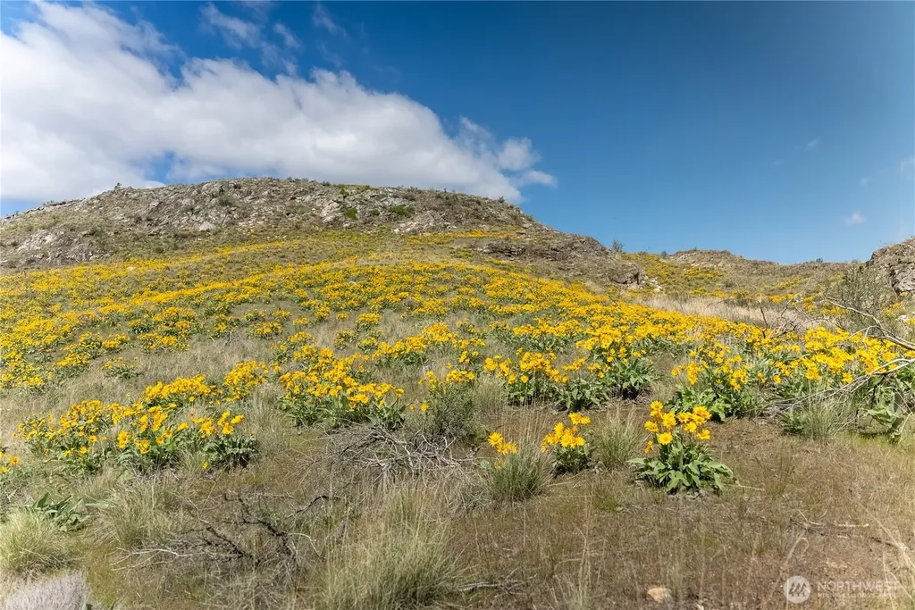 26 Alkali Lake Road Riverside WA 98849