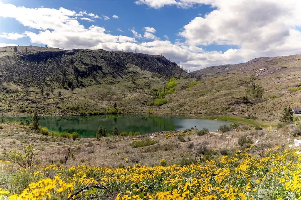 26 Alkali Lake Road Riverside WA 98849