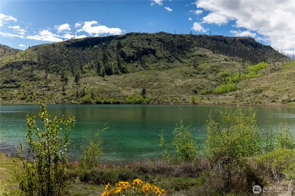 26 Alkali Lake Road Riverside WA 98849