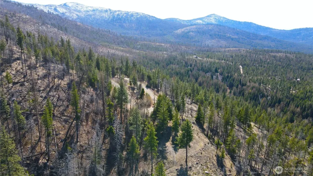 32 Twin Creeks Ranch Riverside WA 98849
