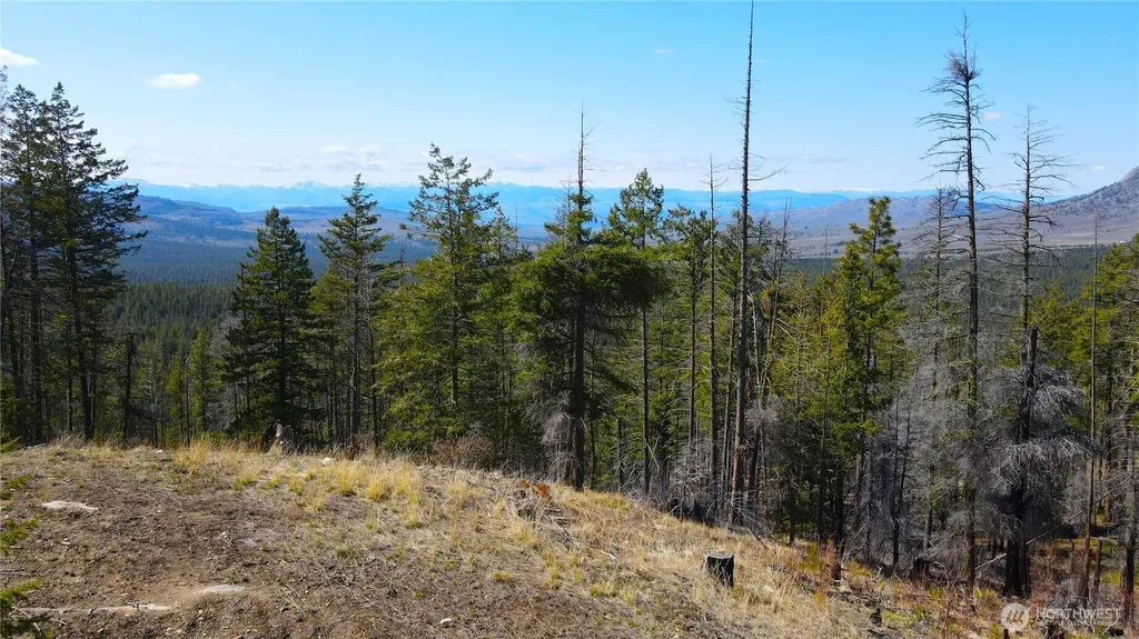 32 Twin Creeks Ranch Riverside WA 98849