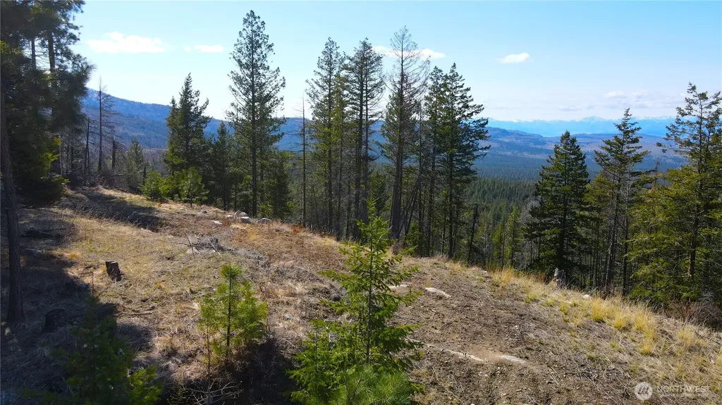 32 Twin Creeks Ranch Riverside WA 98849