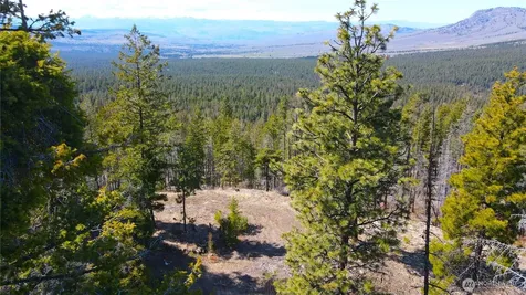 32 Twin Creeks Ranch Riverside WA 98849