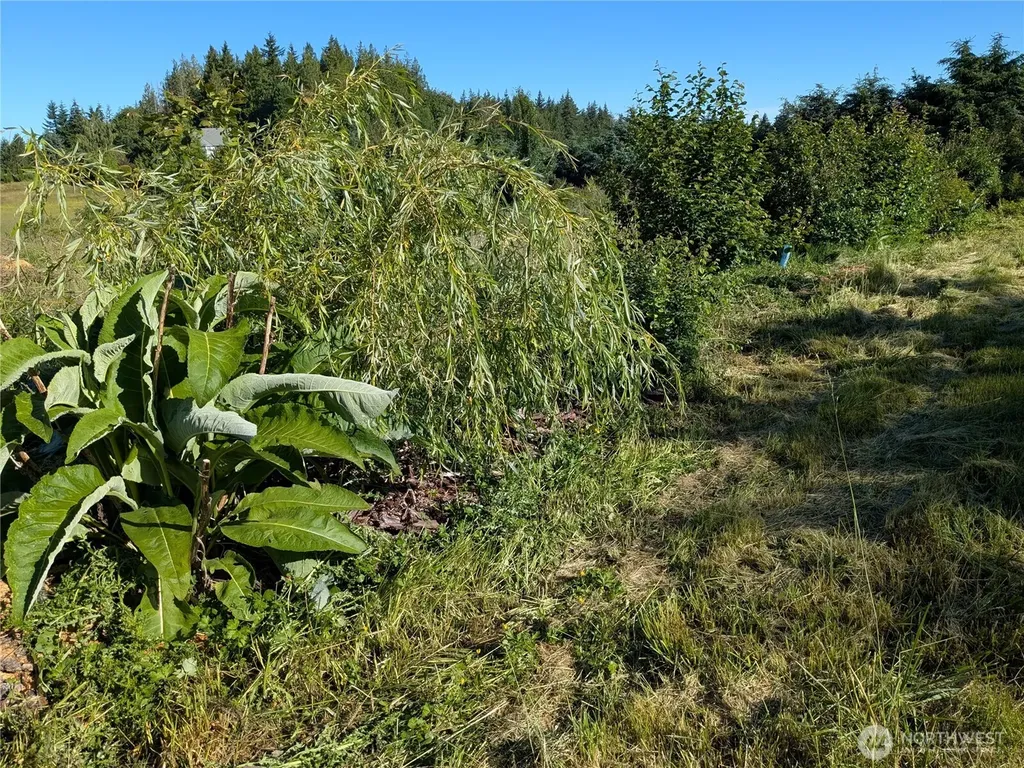 5351 Dinkel Road Bellingham WA 98226