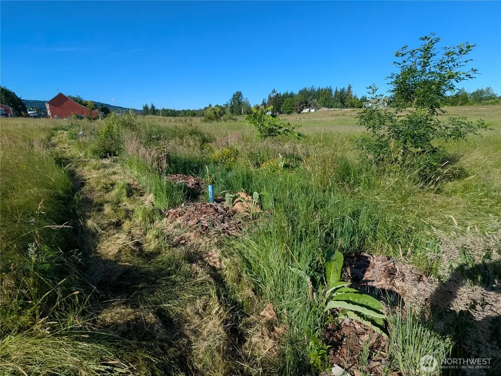 5351 Dinkel Road Bellingham WA 98226