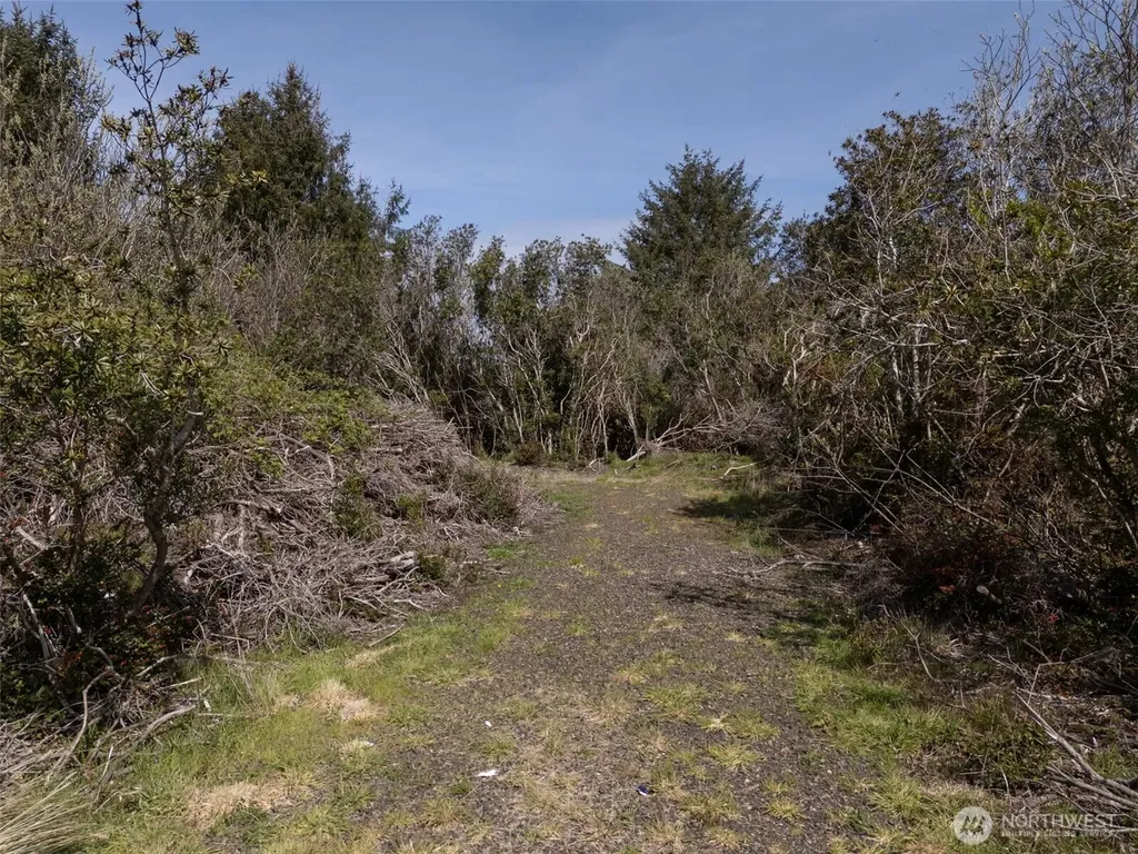 148 Marine View Drive SE Ocean Shores WA 98569