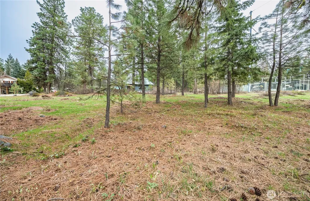 0 Alpensee Strasse Leavenworth WA 98826