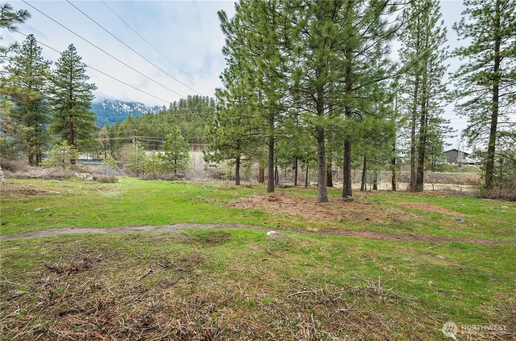 0 Alpensee Strasse Leavenworth WA 98826