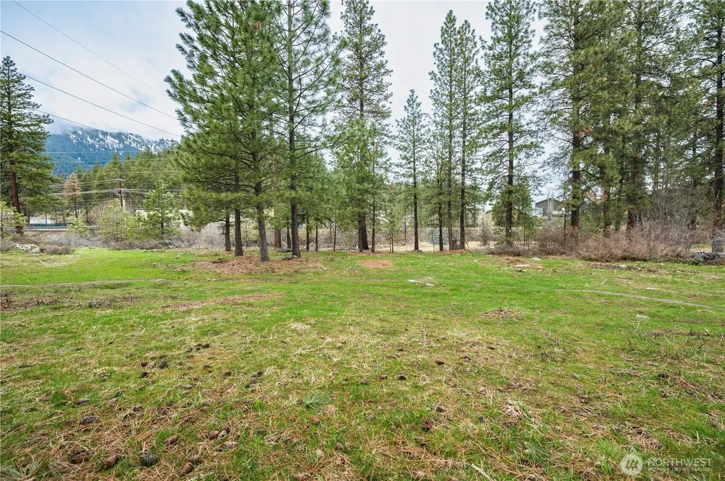 0 Alpensee Strasse Leavenworth WA 98826