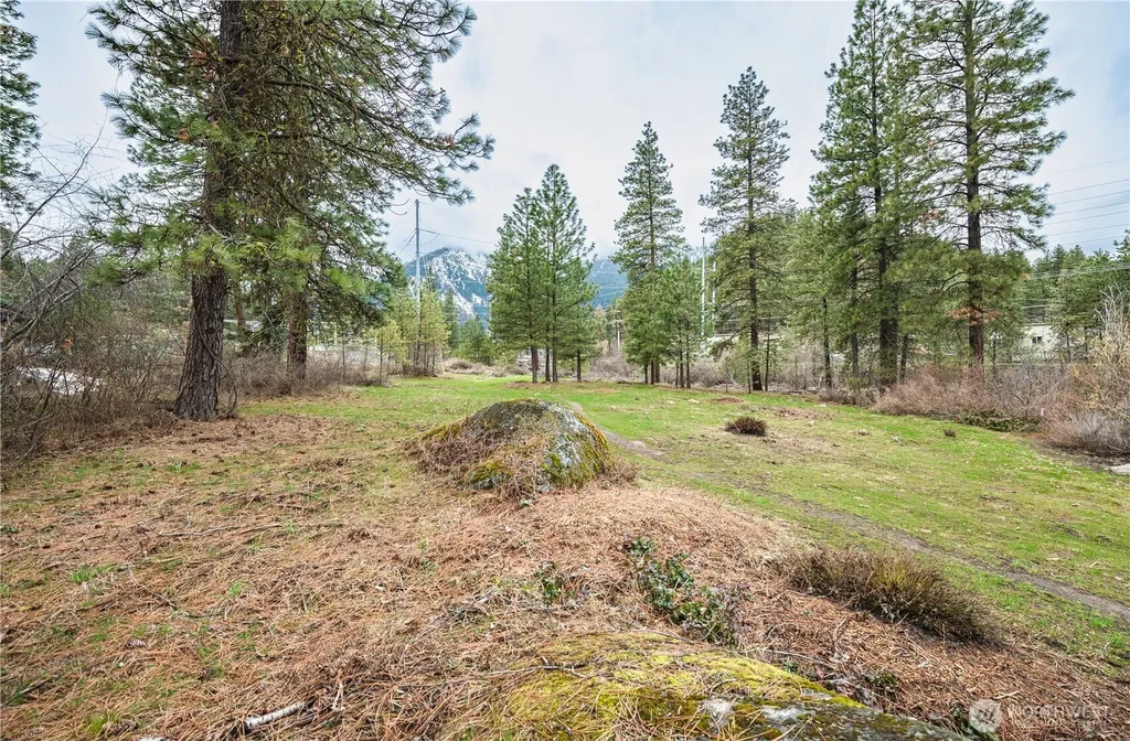 0 Alpensee Strasse Leavenworth WA 98826