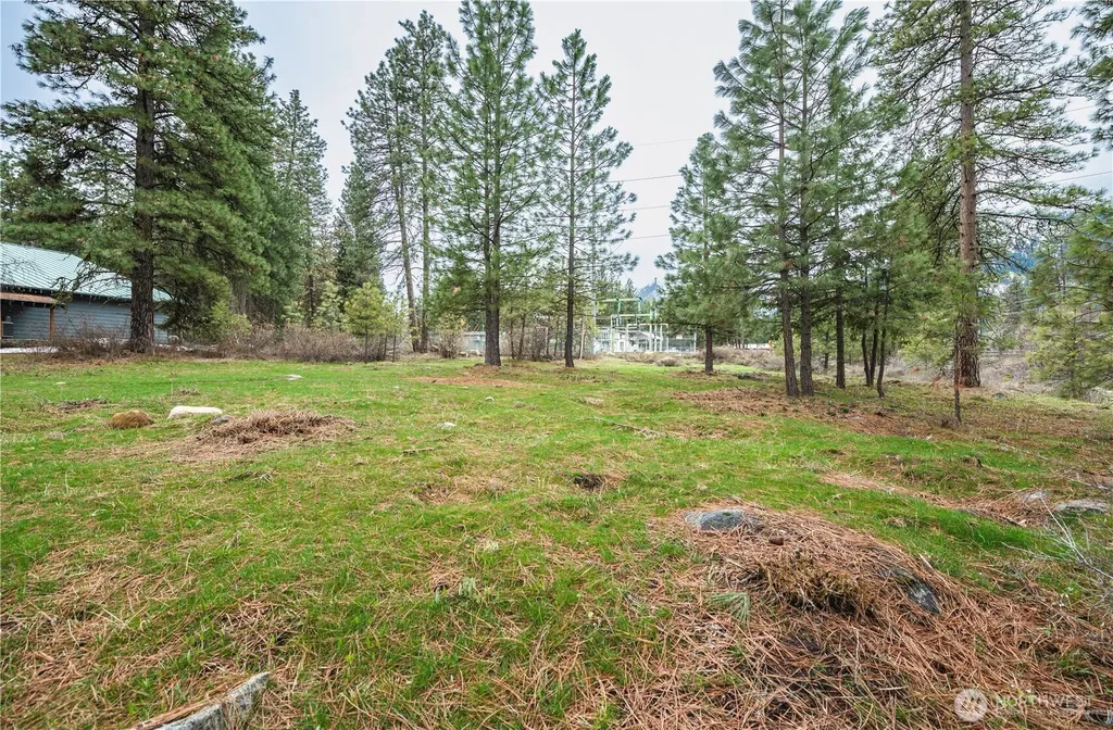 0 Alpensee Strasse Leavenworth WA 98826