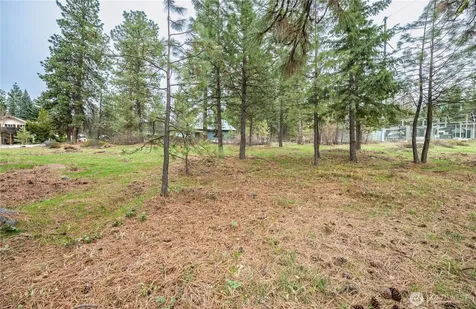 0 Alpensee Strasse Leavenworth WA 98826