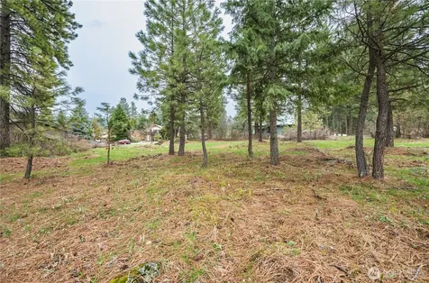 0 Alpensee Strasse Leavenworth WA 98826
