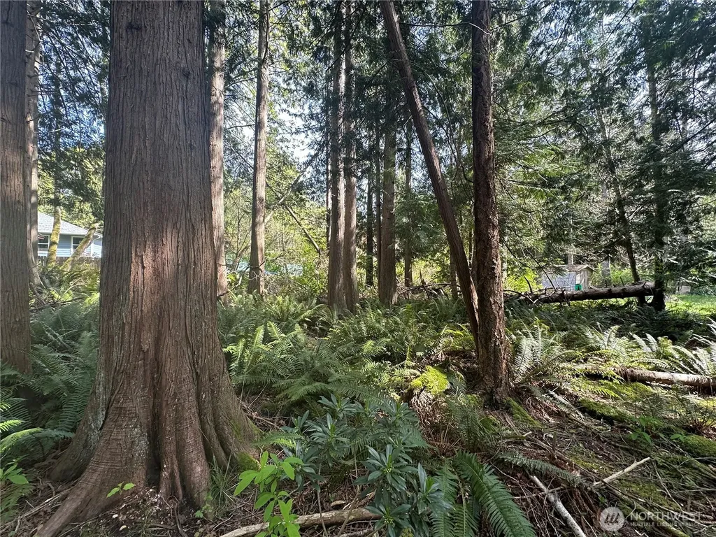 0 Lot 9 Tyee Drive Point Roberts WA 98281