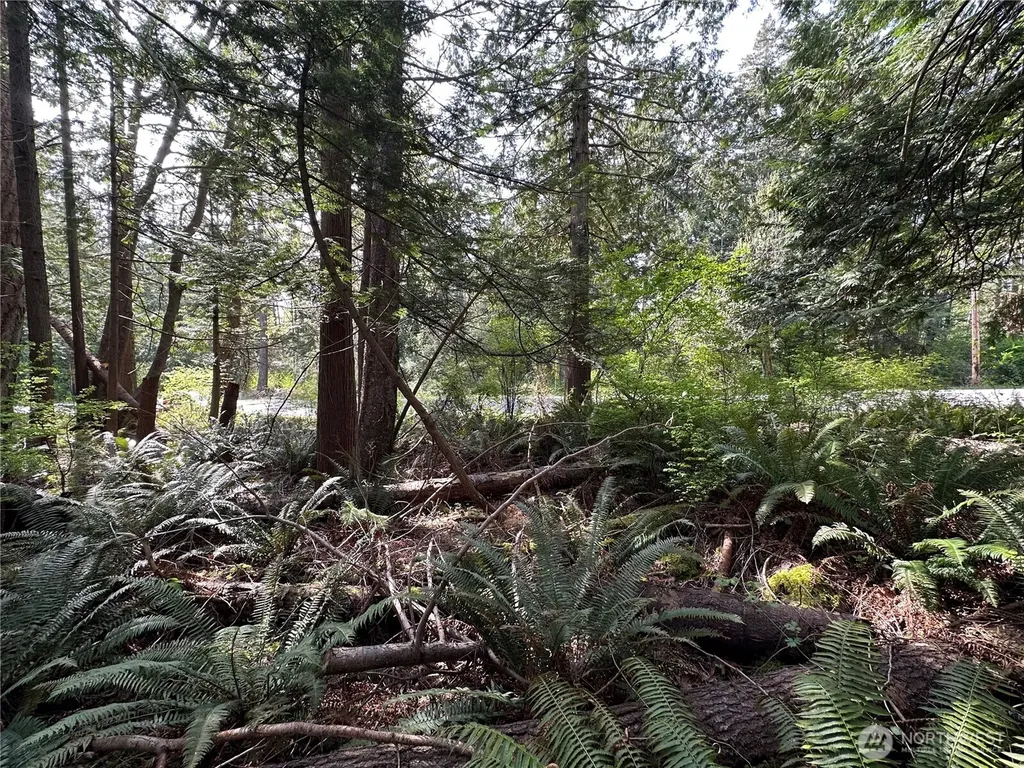 0 Lot 9 Tyee Drive Point Roberts WA 98281