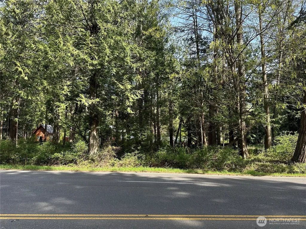 0 Lot 9 Tyee Drive Point Roberts WA 98281