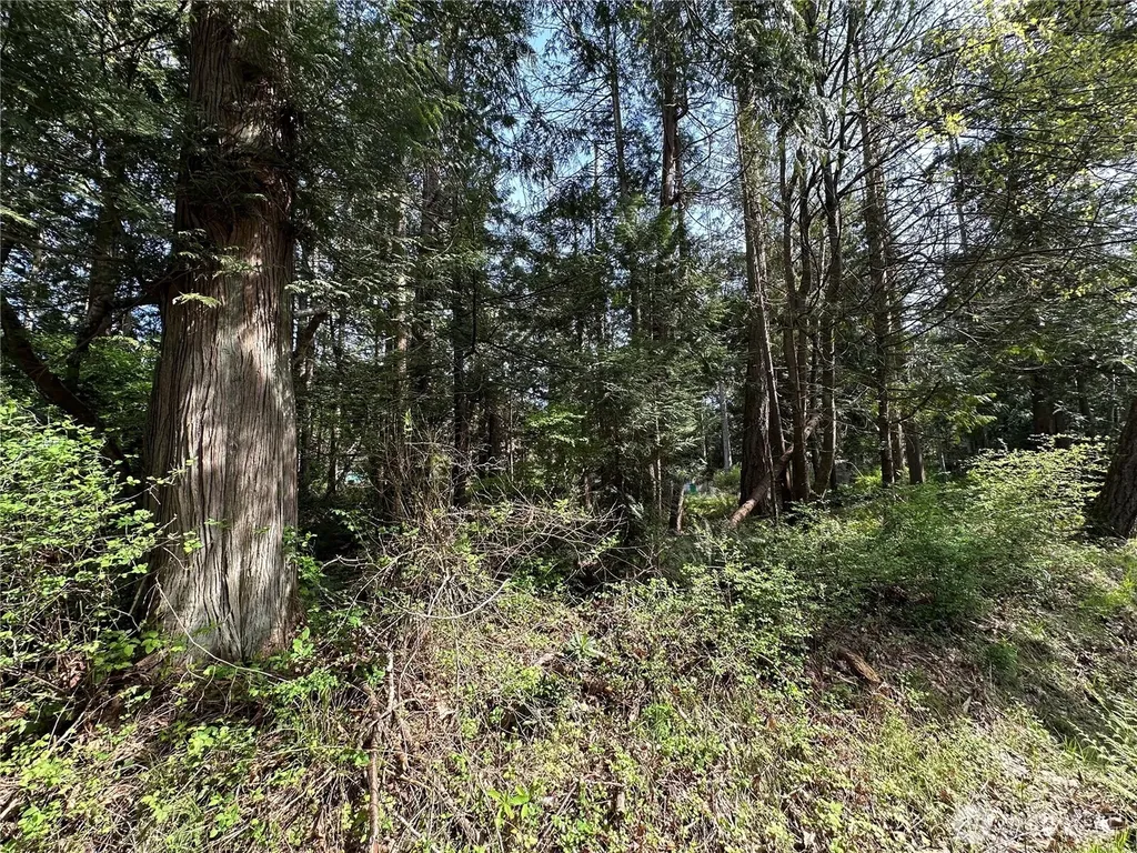 0 Lot 9 Tyee Drive Point Roberts WA 98281