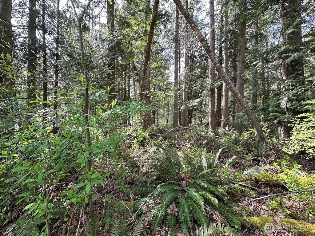 0 Lot 9 Tyee Drive Point Roberts WA 98281