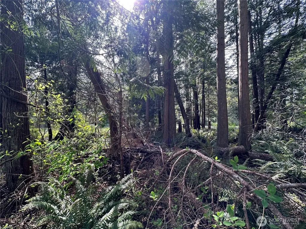 0 Lot 9 Tyee Drive Point Roberts WA 98281